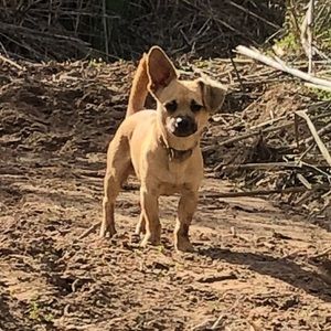 Meet your Posher, Irene